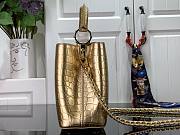Louis Vuitton Crocodile Pattern CAPUCINES Handbag In Gold 27x18x9 cm - 5