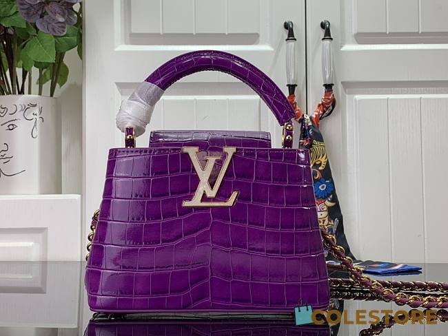 Louis Vuitton Crocodile Pattern CAPUCINES Handbag In Purple 21x14x8cm - 1