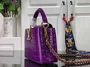 Louis Vuitton Crocodile Pattern CAPUCINES Handbag In Purple 21x14x8cm - 5