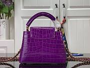 Louis Vuitton Crocodile Pattern CAPUCINES Handbag In Purple 21x14x8cm - 6