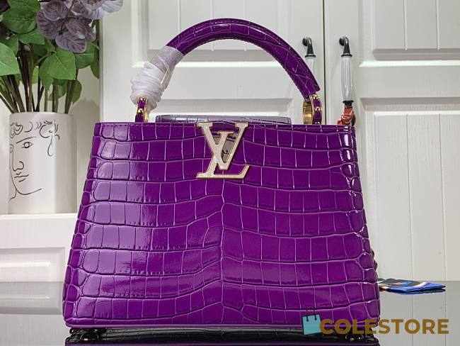 Louis Vuitton Crocodile Pattern CAPUCINES Handbag In Purple 27x18x9cm - 1