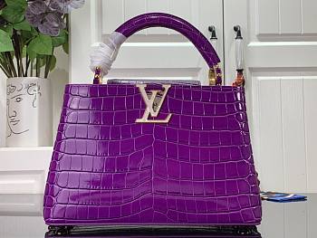 Louis Vuitton Crocodile Pattern CAPUCINES Handbag In Purple 27x18x9cm