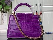 Louis Vuitton Crocodile Pattern CAPUCINES Handbag In Purple 27x18x9cm - 5