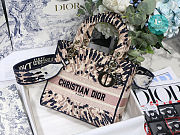 Dior Lady-lite Bag Multicolor Tie & Dior Embroidery size 24x20x11cm - 1