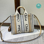Chloe Woody Small Shoulder Bag 26x20x8cm - 1