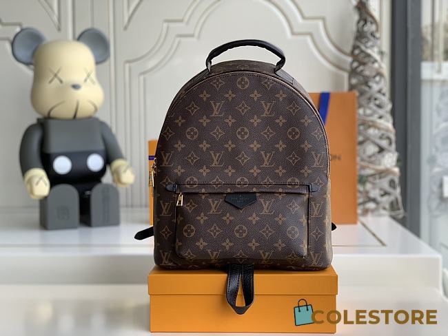Louis Vuitton Backpack Large M41561 - 1