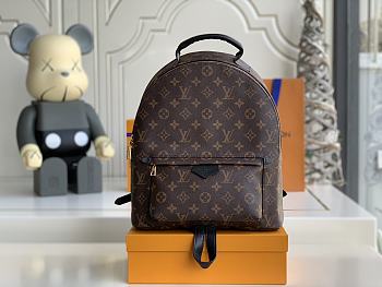 Louis Vuitton Backpack Large M41561