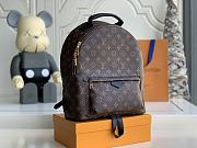 Louis Vuitton Backpack Large M41561 - 6