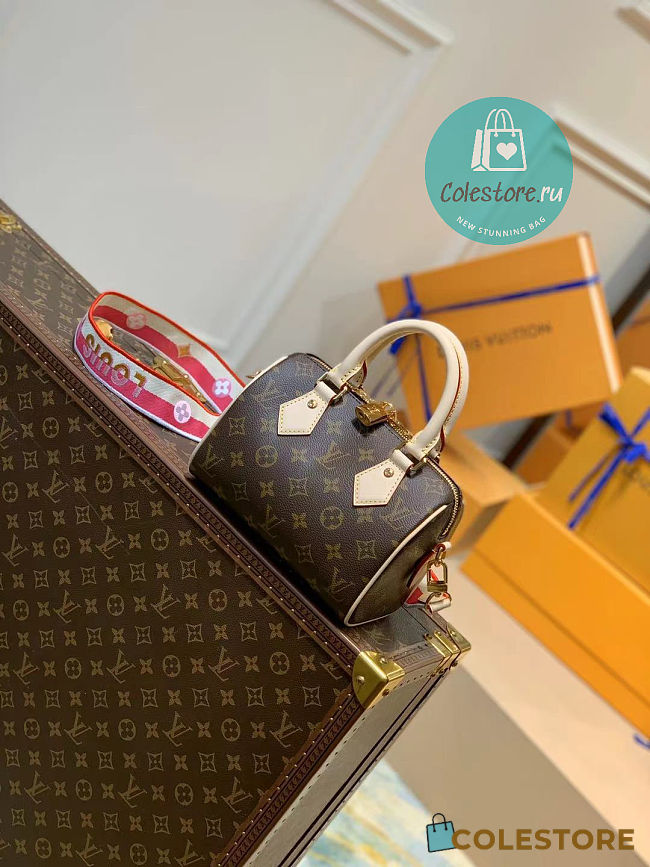 Louis Vuitton LV Speedy Bandouliere 20 Bag 20x13.5x11.5cm - 1