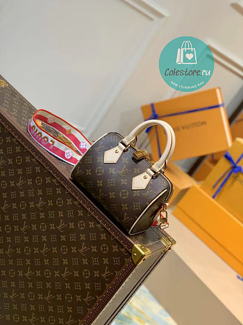 Louis Vuitton LV Speedy Bandouliere 20 Bag 20x13.5x11.5cm