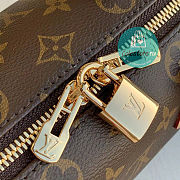 Louis Vuitton LV Speedy Bandouliere 20 Bag 20x13.5x11.5cm - 4