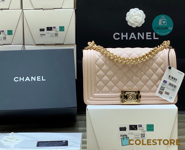 Chanel Beige Quilted Lambskin Medium Le Boy Bag 15x25x9cm - 1