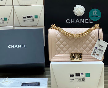 Chanel Beige Quilted Lambskin Medium Le Boy Bag 15x25x9cm