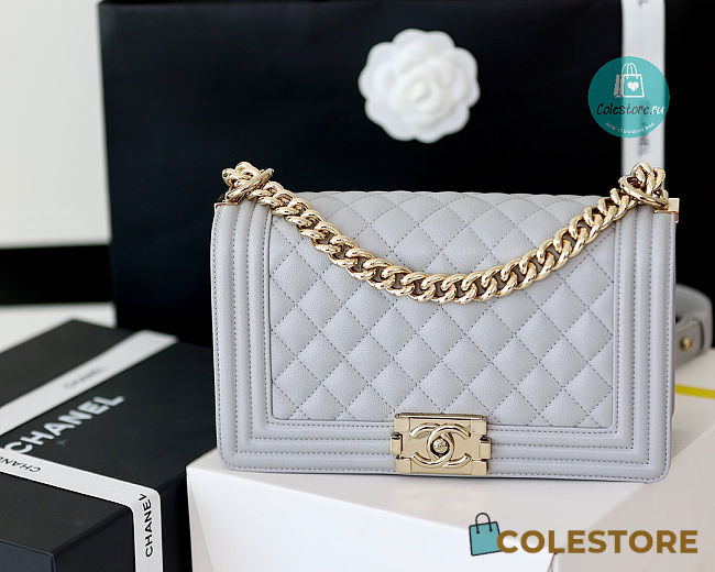 Chanel Grey Quilted Lambskin Medium Le Boy Bag 15x25x9cm  - 1