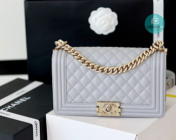 Chanel Grey Quilted Lambskin Medium Le Boy Bag 15x25x9cm 