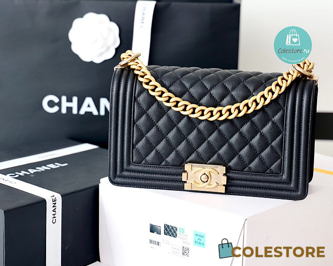 Chanel Black Quilted Lambskin Medium Le Boy Bag 15x25x9cm - 1