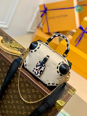 Louis Vuitton Petite Malle Souple Bag 20 x 14 x 7.5 cm
