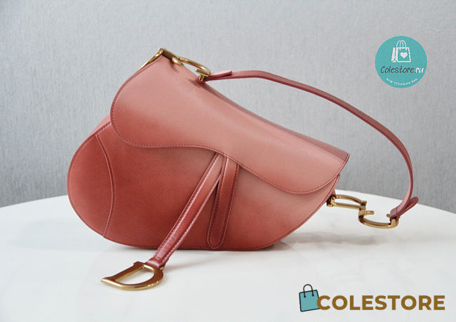 Dior Saddle Pink Gradient Color Bag 25.5x20x6.5cm - 1