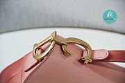 Dior Saddle Pink Gradient Color Bag 25.5x20x6.5cm - 3