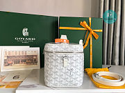 GOYARD Goyardine Muse Vanity Case White 20x14x16 cm - 2