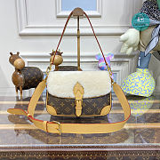 Louis Vuitton Diane Bag Monogram Canvas 25.0 × 9.0 × 15.0 cm - 1