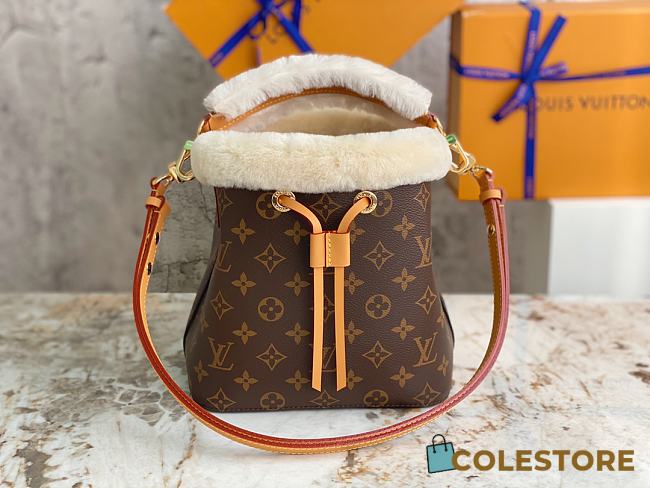 Louis Vuiiton Néonoé BB Monogram Canvas 20 x 20 x 13 cm - 1