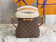 Louis Vuiiton Néonoé BB Monogram Canvas 20 x 20 x 13 cm - 3