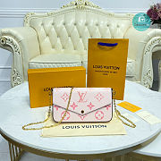 Louis Vuitton Pochette Felicie By The Pool Pink Saffron Leather Cross Body Bag 21 x 12 x 3 cm - 1