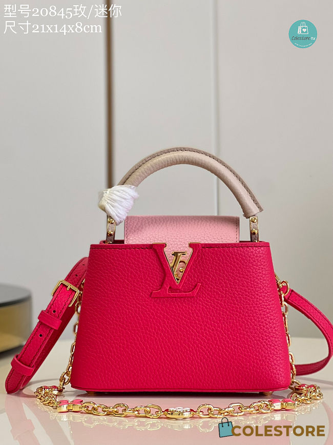 Louis Vuitton CAPUCINES Mini Handbags in Pink 21 x 14 x 8 - 1