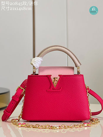 Louis Vuitton CAPUCINES Mini Handbags in Pink 21 x 14 x 8