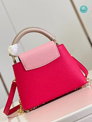 Louis Vuitton CAPUCINES Mini Handbags in Pink 21 x 14 x 8 - 6