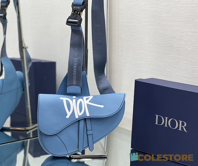 Dior And Shawn Saddle Bag In Blue For Men 20 x 28.6 x 5 cm - 1
