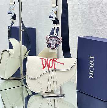 Dior And Shawn Saddle Bag In White For Men 20 x 28.6 x 5 cm