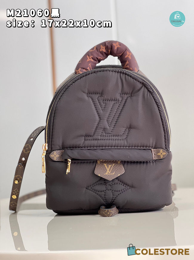 Louis Vuitton Pillow Palm Springs Brown Mini Backpack 17 x 22 x 10 cm - 1