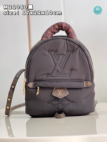 Louis Vuitton Pillow Palm Springs Brown Mini Backpack 17 x 22 x 10 cm