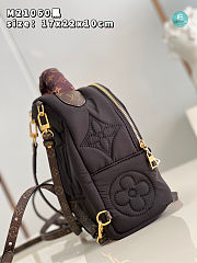 Louis Vuitton Pillow Palm Springs Brown Mini Backpack 17 x 22 x 10 cm - 6