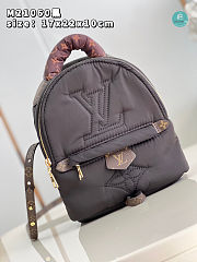 Louis Vuitton Pillow Palm Springs Brown Mini Backpack 17 x 22 x 10 cm - 3