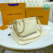 Louis Vuitton Multi Pochette Accessoires in Cream 25x14.5x4.5 cm - 2