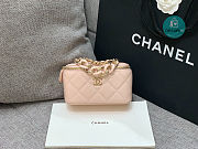 Chanel  Vanity Big Chain Cosmetic Case Pink 18cm - 1