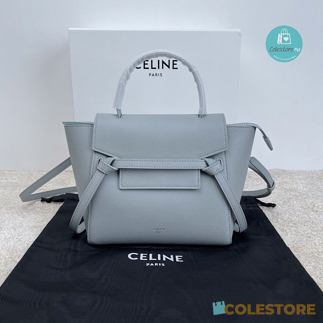 CELINE Micro Belt Bag in Grained Calfskin in Mineral 24x2013.5cm  - 1
