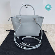 CELINE Micro Belt Bag in Grained Calfskin in Mineral 24x2013.5cm  - 3