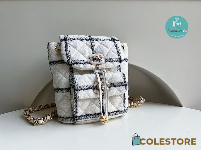 Chanel Wool Tweed & Gold Chain Backpack 24x21x10 cm - 1
