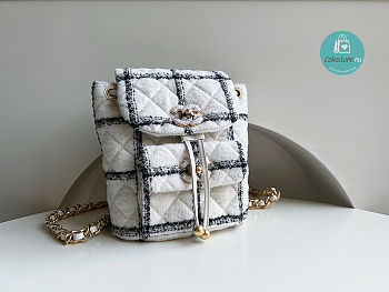 Chanel Wool Tweed & Gold Chain Backpack 24x21x10 cm