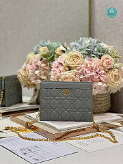 Dior Caro Zipped Pouch With Chain Grey 19cm - 1