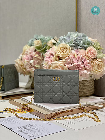 Dior Caro Zipped Pouch With Chain Grey 19cm