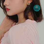Celine Heart Earrings  - 5