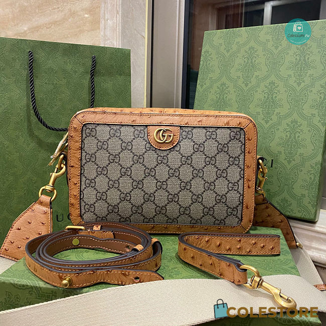 Gucci GG Supreme Canvas Double G Ostrich Pattern leather 23.5 x 16 x 4.5cm - 1