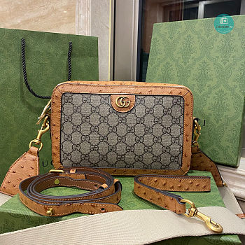 Gucci GG Supreme Canvas Double G Ostrich Pattern leather 23.5 x 16 x 4.5cm