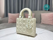 Medium Lady Dior Latte Uramatte Cannage Calfskin In Full White 20cm  - 6