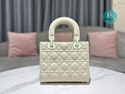 Medium Lady Dior Latte Uramatte Cannage Calfskin In Full White 20cm  - 5